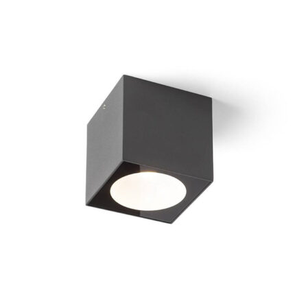 R13625 Senza Внешний Plafon Redlux