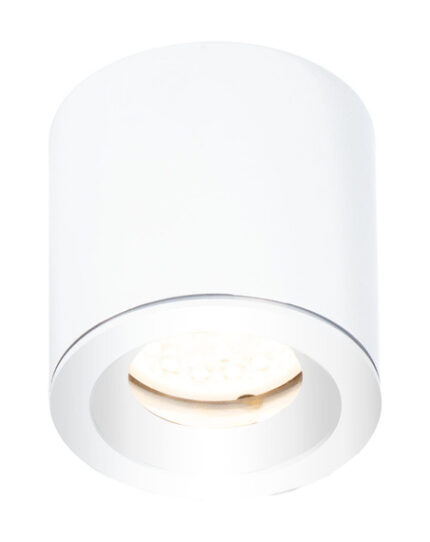 Труба MaxLight форма C0215 White IP65
