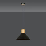 Висячая лампа ROWEN 1 BLACK Black (1044/1) — изображение 6