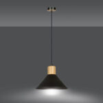 Висячая лампа ROWEN 1 BLACK Black (1044/1) — изображение 7