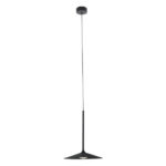 Золотой MaxLight HANA P0456 Black