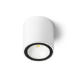 R13622 Senza Внешний Plafon Redlux